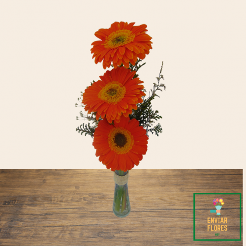flores a domicilio